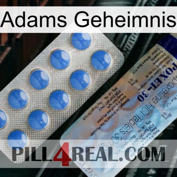 Adams Secret 39.jpg